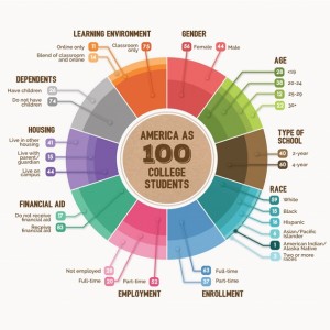 HE in USA - america as 100 college students